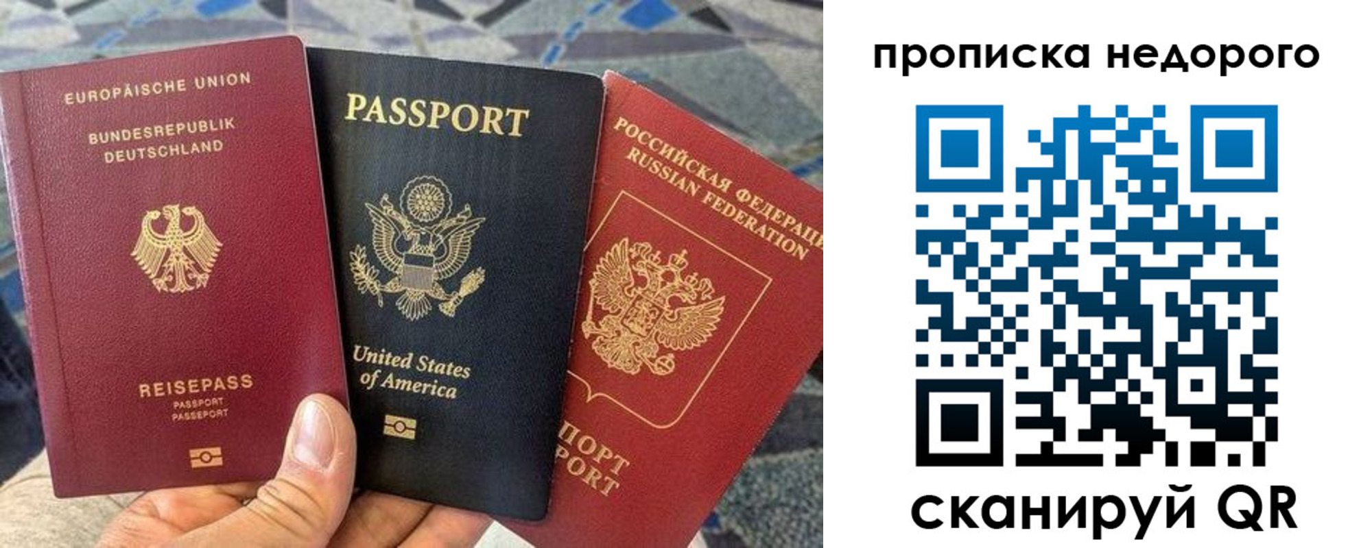 купить прописку в Полярных Зорях