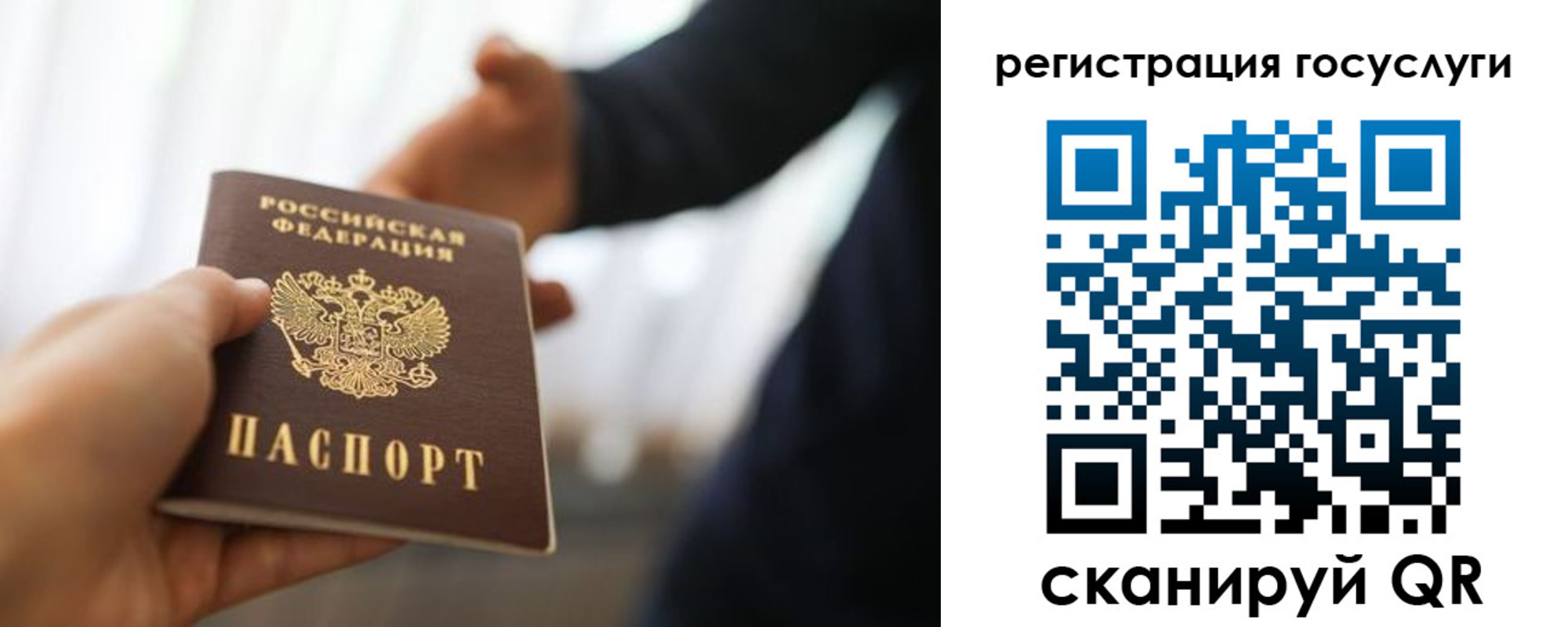 прописка в Полярных Зорях